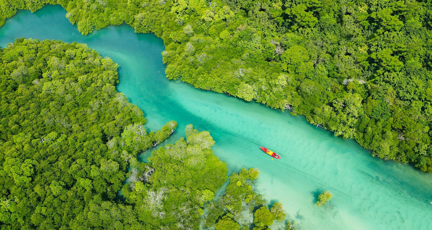 WhatsApp Image 2025-02-08 at 22.24.30.jpeg